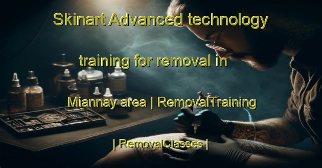 Skinart Advanced technology training for removal in Miannay area | RemovalTraining | RemovalClasses | SkinartTraining-France